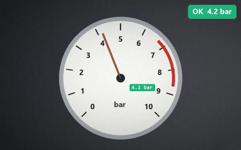 ตัวอย่างผลตรวจ Analog Gauge